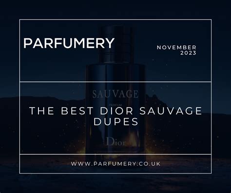 dior sauvage alternative|best dior sauvage dupe.